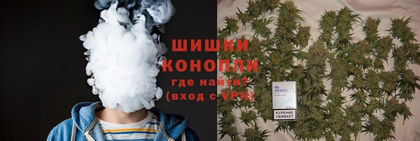 не бодяженный Гусев