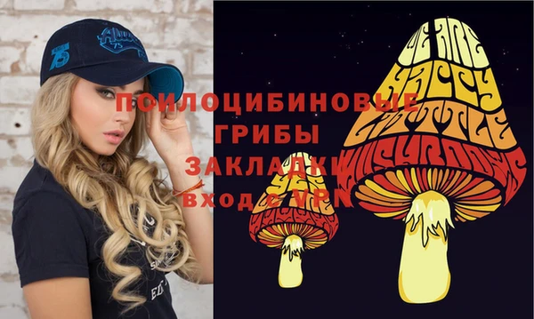 герыч Сосновоборск