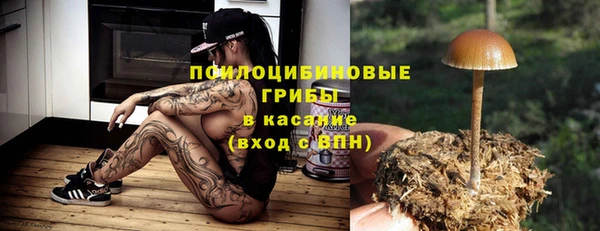 марки nbome Гусь-Хрустальный