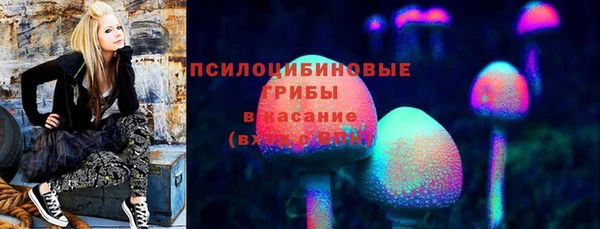 не бодяженный Гусев