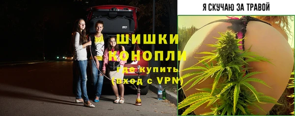 стафф Гусиноозёрск