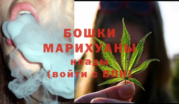 марки nbome Гусь-Хрустальный