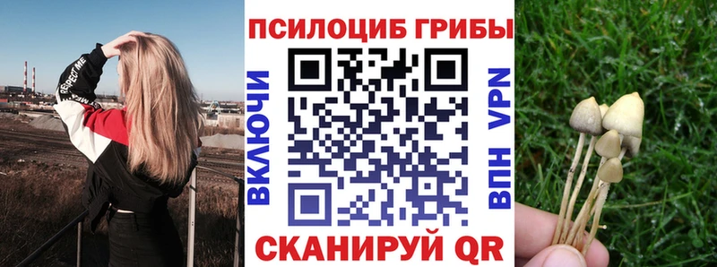 наркотики  гидра   Псилоцибиновые грибы GOLDEN TEACHER  Гусь-Хрустальный 